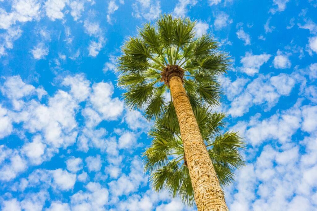 Large Studio Rooftop & Poolside - Walk To Old Town Scottsdale Exteriér fotografie